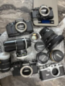 仕入れ品